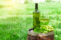 Wine bottle, glass with white wine and grape on old barrel Royalty Free Stock Photo
