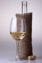Wine bottle and glass with white wine Royalty Free Stock Photo