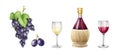 Wine bottle, grape and glass watercolor set. Winery close up elements on white background. Hand drawn realistic red and Royalty Free Stock Photo