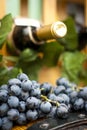 Wine bottle, grape an leaves on a wood barrel