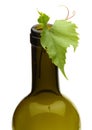 Wine bottle and grape vine Royalty Free Stock Photo