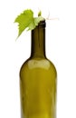 Wine bottle and grape vine Royalty Free Stock Photo