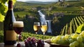wine bottle and grapes Fantasy waterfall of wine, with a landscape of vineyards and grapes, with Waterfall Duden