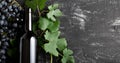 Wine bottle grapes, grape bunches with leaves and vines corkscrew on dark rustic concrete background. Flat lay wine composition on Royalty Free Stock Photo