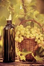 Wine bottle and grapes of vine Royalty Free Stock Photo