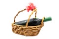 Wine bottle isolated in gift basket on white background Royalty Free Stock Photo