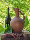 Wine bottle and jug Royalty Free Stock Photo