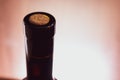 Wine bottle neck close up. Blurred background Royalty Free Stock Photo