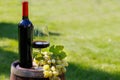 Wine bottle, red win glass and grape on barrel Royalty Free Stock Photo