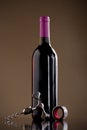 Wine bottle, stopper and a corkscrew Royalty Free Stock Photo