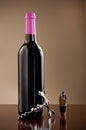 Wine bottle, stopper and a corkscrew Royalty Free Stock Photo