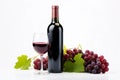 Wine bottle surrounded by wine glass, red grapes and leaves Royalty Free Stock Photo