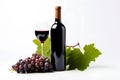 Wine bottle surrounded by wine glass, red grapes and leaves on white background Royalty Free Stock Photo