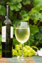 Wine bottle and wine glass with ice cold white wine, outdoor terrace, wine tasting in sunny day, green vineyard garden background. Royalty Free Stock Photo