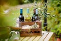 Wine bottle in a wooden crate decorated with olive branches