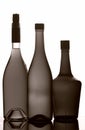 Wine bottles Royalty Free Stock Photo