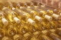 Wine bottles in the cellar. A row of champagne bottles - Wine cellar Bottles stocked in the wine cellar Royalty Free Stock Photo