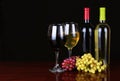 Wine Bottles and Glasses of Wine over black Royalty Free Stock Photo