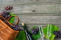 Wine bottles with grapes, basket, two wineglasses on wooden background Royalty Free Stock Photo