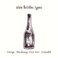 Wine bottles types collection, Prestige, Chardonnay, Pinot Noir, Zinfandel. Ink black and white doodle drawing Royalty Free Stock Photo