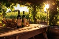 wine bottles on a wooden bench in a sunlit vineyard