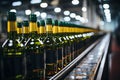 Wine Bottling Mastery Automated Production on the Conveyor Line Royalty Free Stock Photo