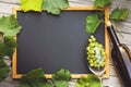 Wine business concept with copy space. Top view of a bottle, a glass with grapes and a chalk board Royalty Free Stock Photo