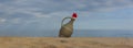 wine carafe with Santa Claus hat on beach