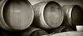 Wine Casks Royalty Free Stock Photo