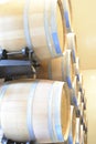 Wine casks at a Virginia winery Royalty Free Stock Photo