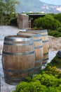 Wine casks at the winery. Wine barrels outside of wine cellar in the garden of a picturesque vineyard. Winery garden Royalty Free Stock Photo