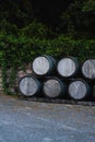 Wine casks at the winery. Stacked Wine barrels outside of wine cellar at the vineyard Royalty Free Stock Photo