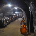 Wine cellar Royalty Free Stock Photo