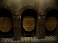Wine cellar Royalty Free Stock Photo