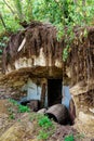 A wine cellar in abandoned old house in a thicket of trees and shrubs, outbuildings, old cask, a village without people