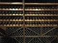 Wine Cellar