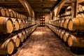 Wine cellar. Wine barrels in a winery in Spain Royalty Free Stock Photo