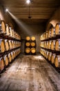 Wine cellar. Wine barrels in a winery in Spain. Vertical view Royalty Free Stock Photo