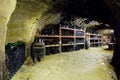 wine cellar, Bily sklep rodiny Adamkovy, Chvalovice, Czech Repub Royalty Free Stock Photo