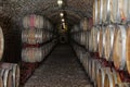 Wine cellar interior with large barrels Royalty Free Stock Photo