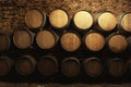 Wine cellar interior with large barrels Royalty Free Stock Photo