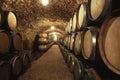 Wine cellar interior with large barrels Royalty Free Stock Photo