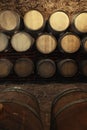 Wine cellar interior with large barrels Royalty Free Stock Photo