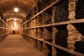 Wine cellar interior with many bottles