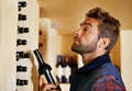 Wine cellar, man and rack with alcohol, bottle and drink choice of sommelier and inventory check. Winery, glass and Royalty Free Stock Photo