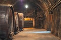 Wine cellar with old large oak barrels Royalty Free Stock Photo