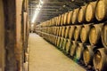 Wine cellar in Porto with rows of old wooden barrels