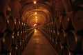 Wine Cellar in Spain