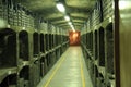 Wine cellar Royalty Free Stock Photo