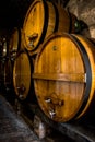 Wine cellar, Tuscany